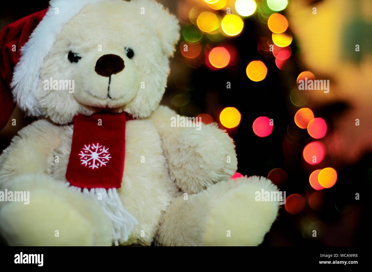 Close-up Of Teddy Bear Against Illuminated Christmas Lights At ...
