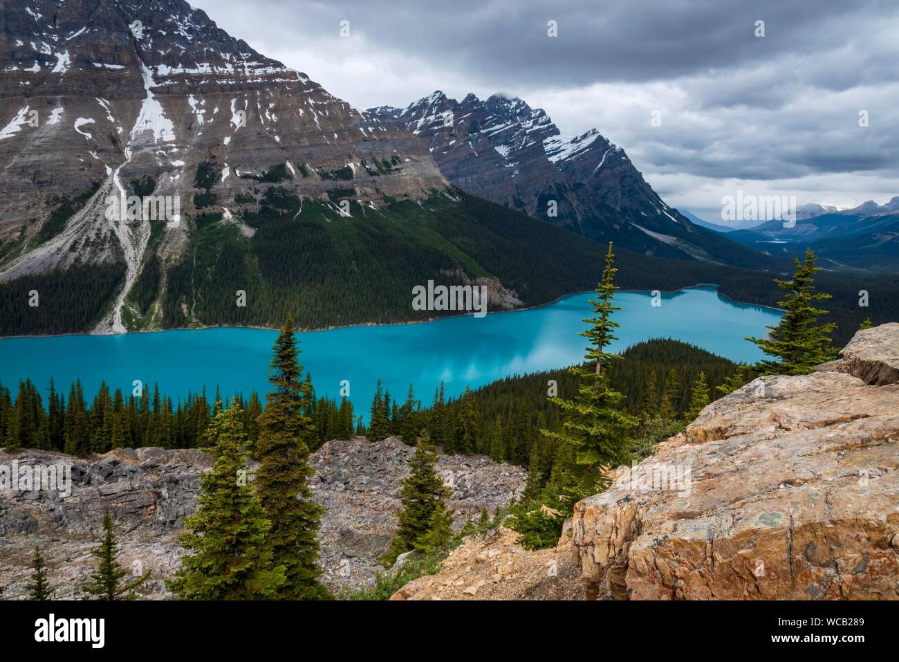 Beautiful Lake Peyto in Banff National Park, Canada Stock Photo - Alamy