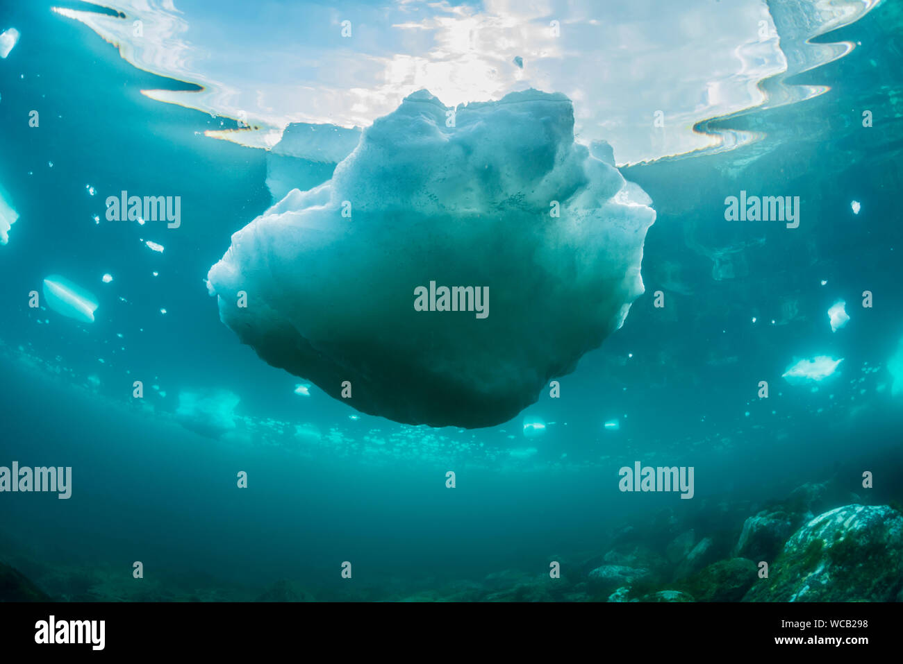 Drift ice,underwater view,in Rausu,Hokkaido,Japan Stock Photo Alamy