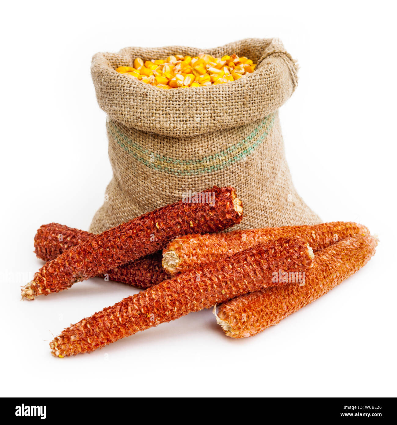 Corn In Sack Over White Background Stock Photo - Alamy