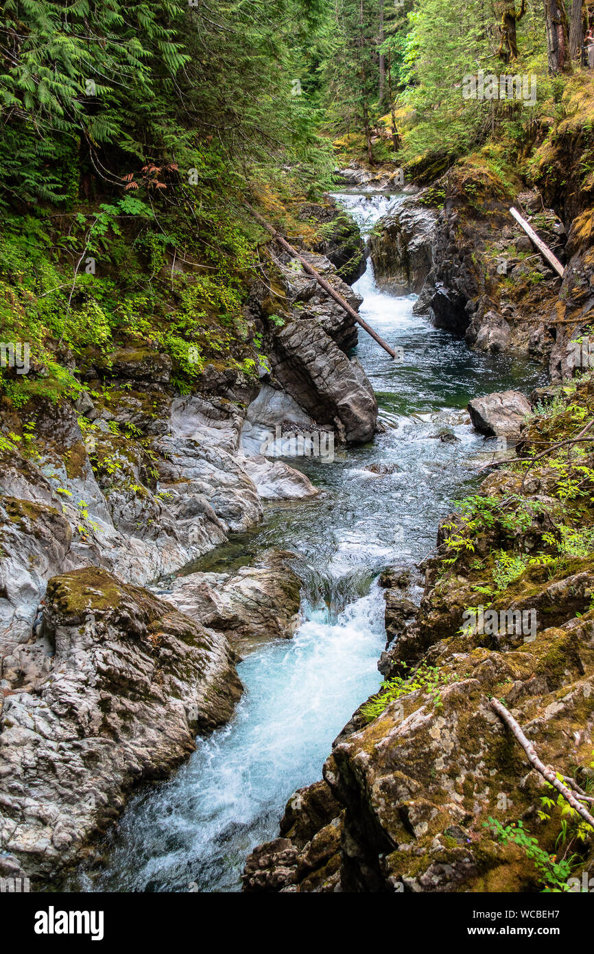 Visitors to Little Qualicum Falls Provincial Park on Vancouver Island, BC, are treated to old-growth forests and spectacular waterfalls. Stock Photo