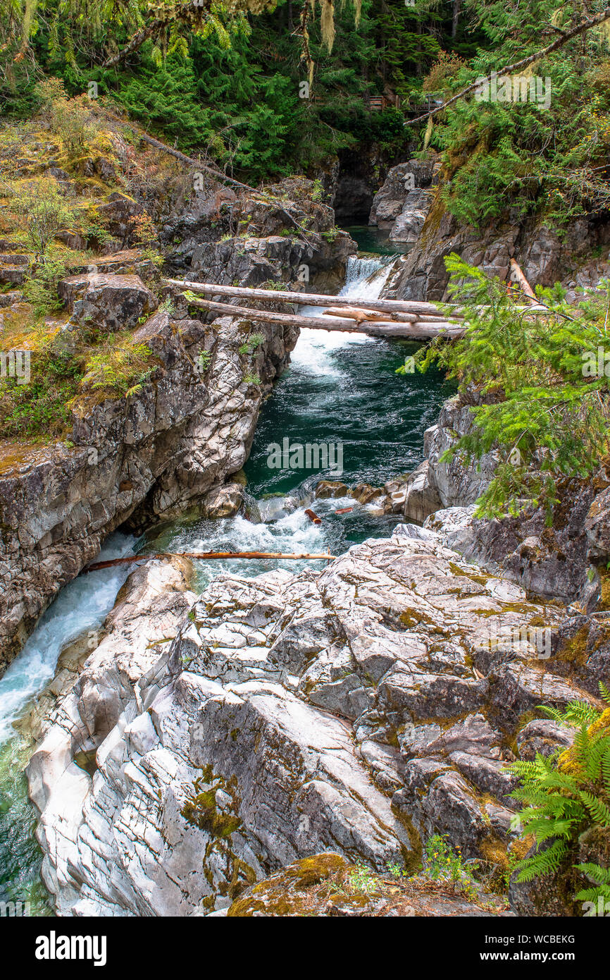 Located near the iconic Cathedral Grove old-growth forest on Vancouver Island, Little Qualicum Falls Provincial Park is a must-see for visitors. Stock Photo