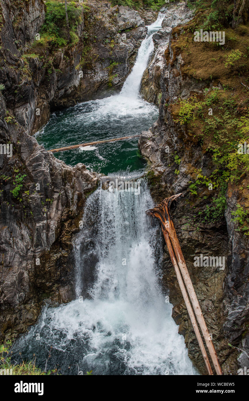 Little Qualicum Falls Provincial Park, BC, is home to several beautiful waterfalls and forests, which are all easily accessible via a short hike. Stock Photo