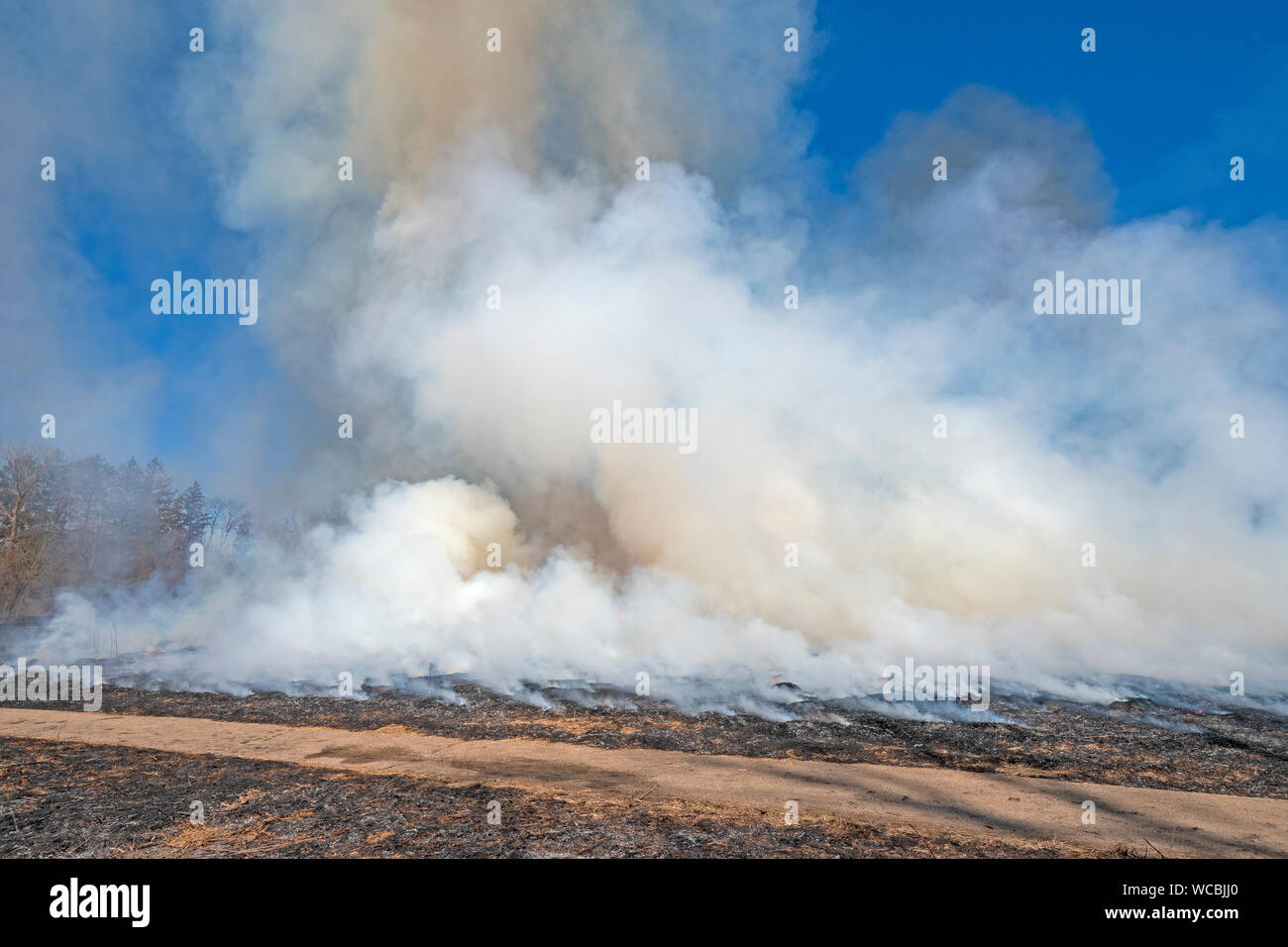 Smoke Rising From Controlled Prairie Burn in Spring Valley Nature Preserve in Schaumburg, Illinois Stock Photo