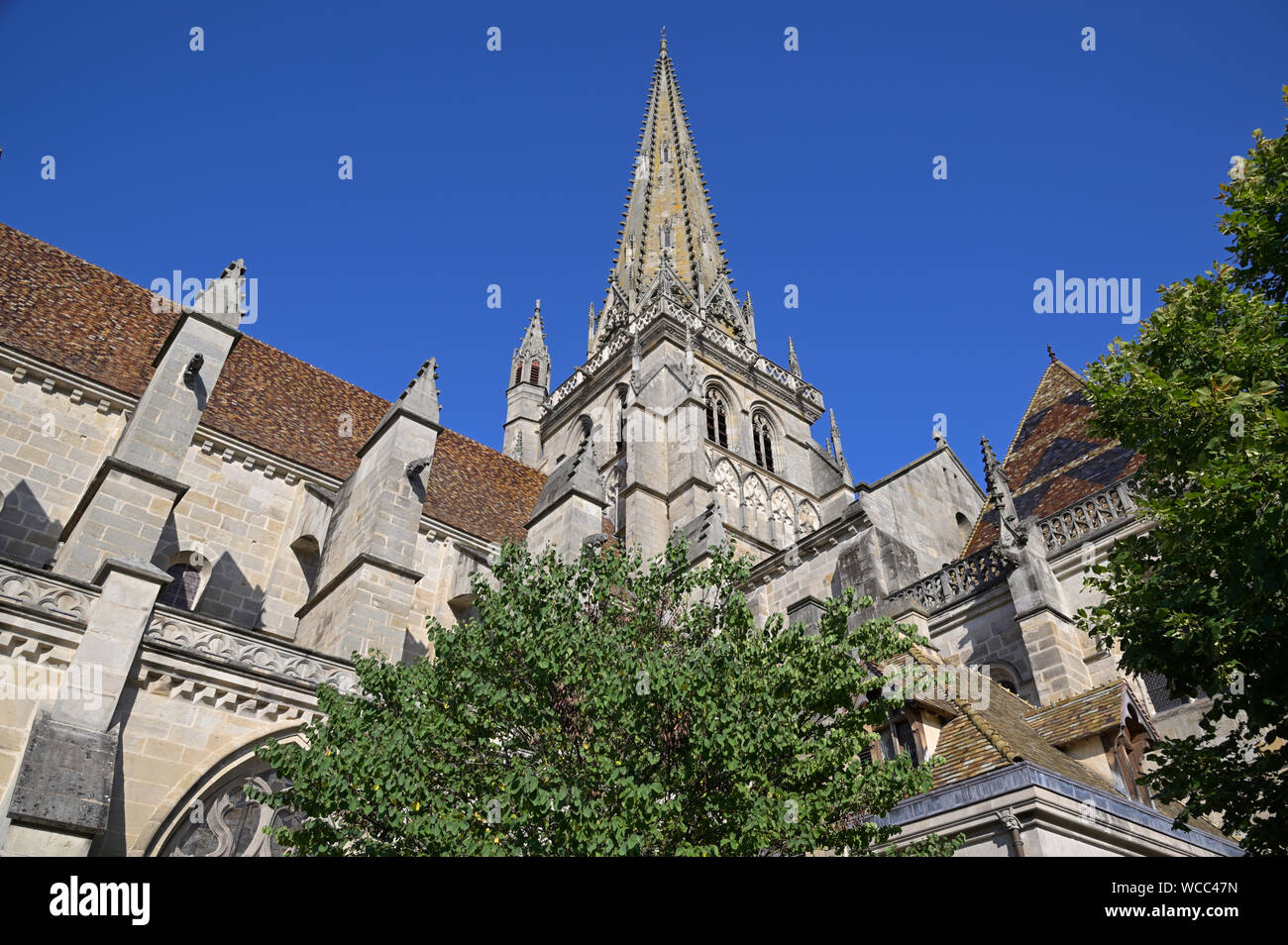 Cathedral of saint lazarus of autun hires stock photography and images