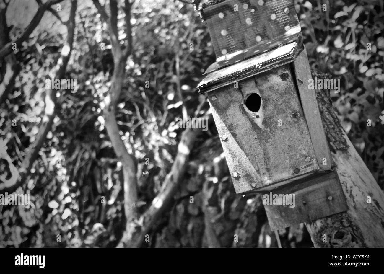 Birdhouse on pole hi-res stock photography and images - Alamy