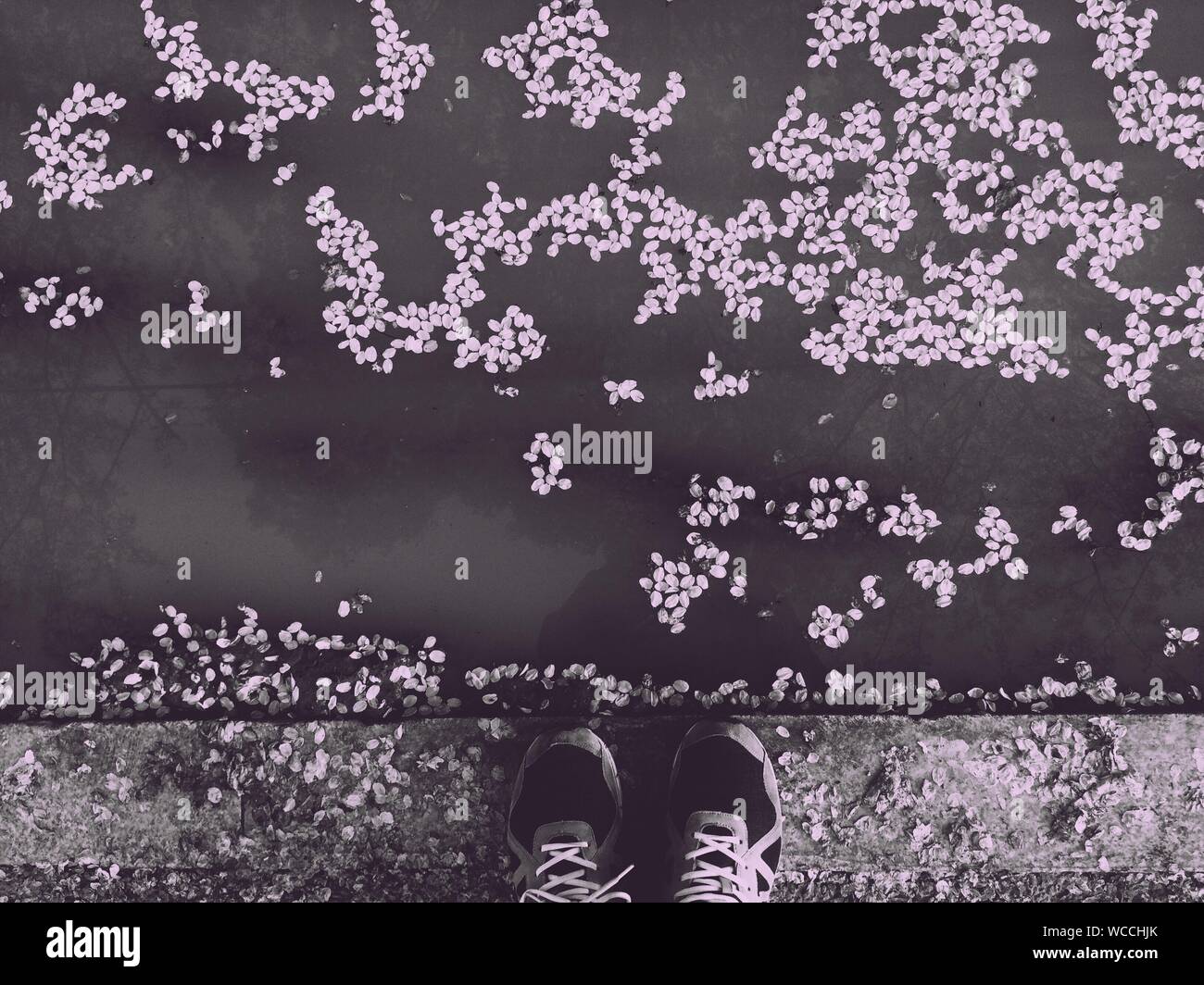 Floating footpath hi-res stock photography and images - Alamy