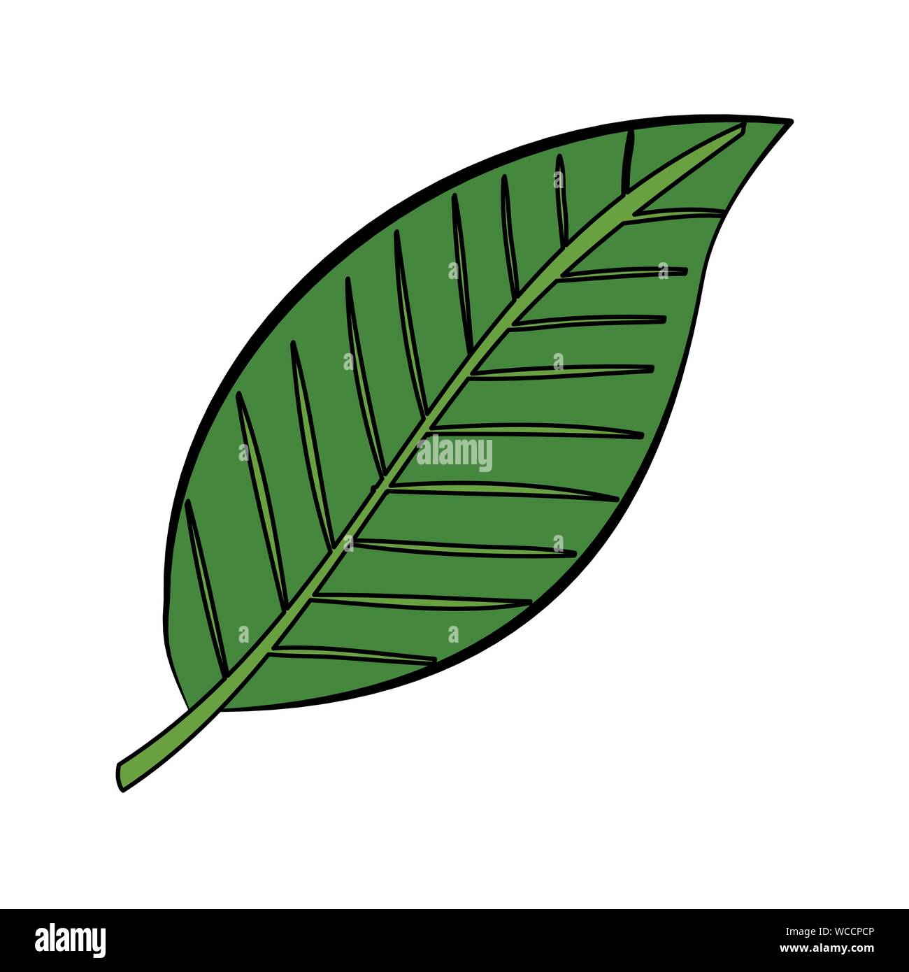 ecology leaf plant isolated icon Stock Vector Image & Art - Alamy