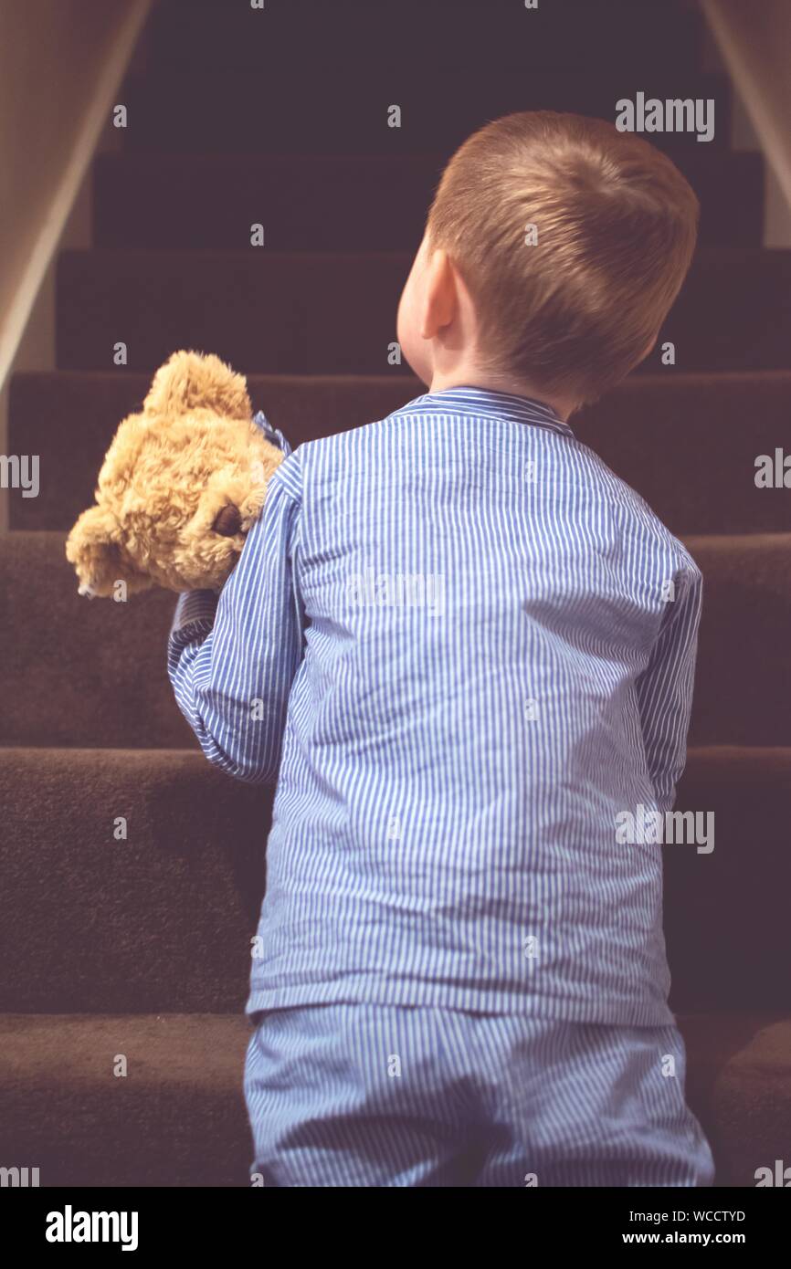 Rear View Of Boy Carrying Teddy Bear Upstairs Stock Photo Alamy