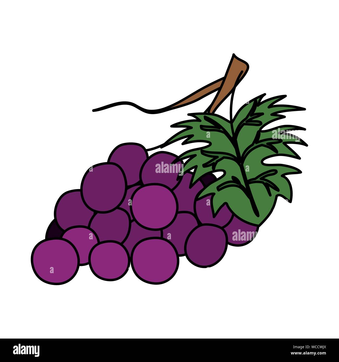 fresh grapes fruits nature icon Stock Vector Image & Art - Alamy