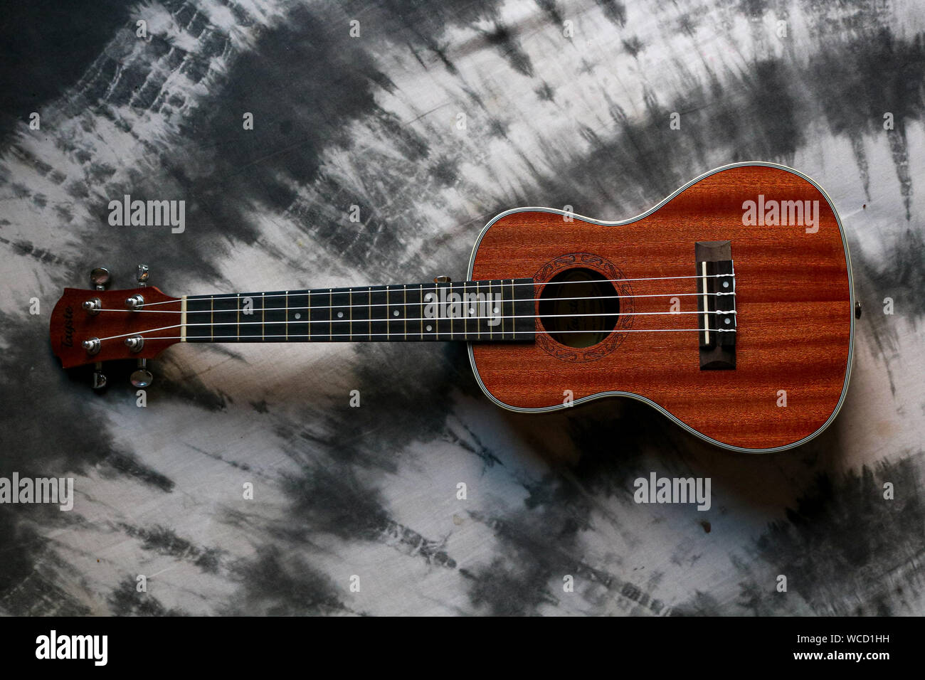 Ukulele on black abstract background. Headstock and fret of ukulele parts. Copy space for text. Concept of Hawaiian musical instruments and music love Stock Photo