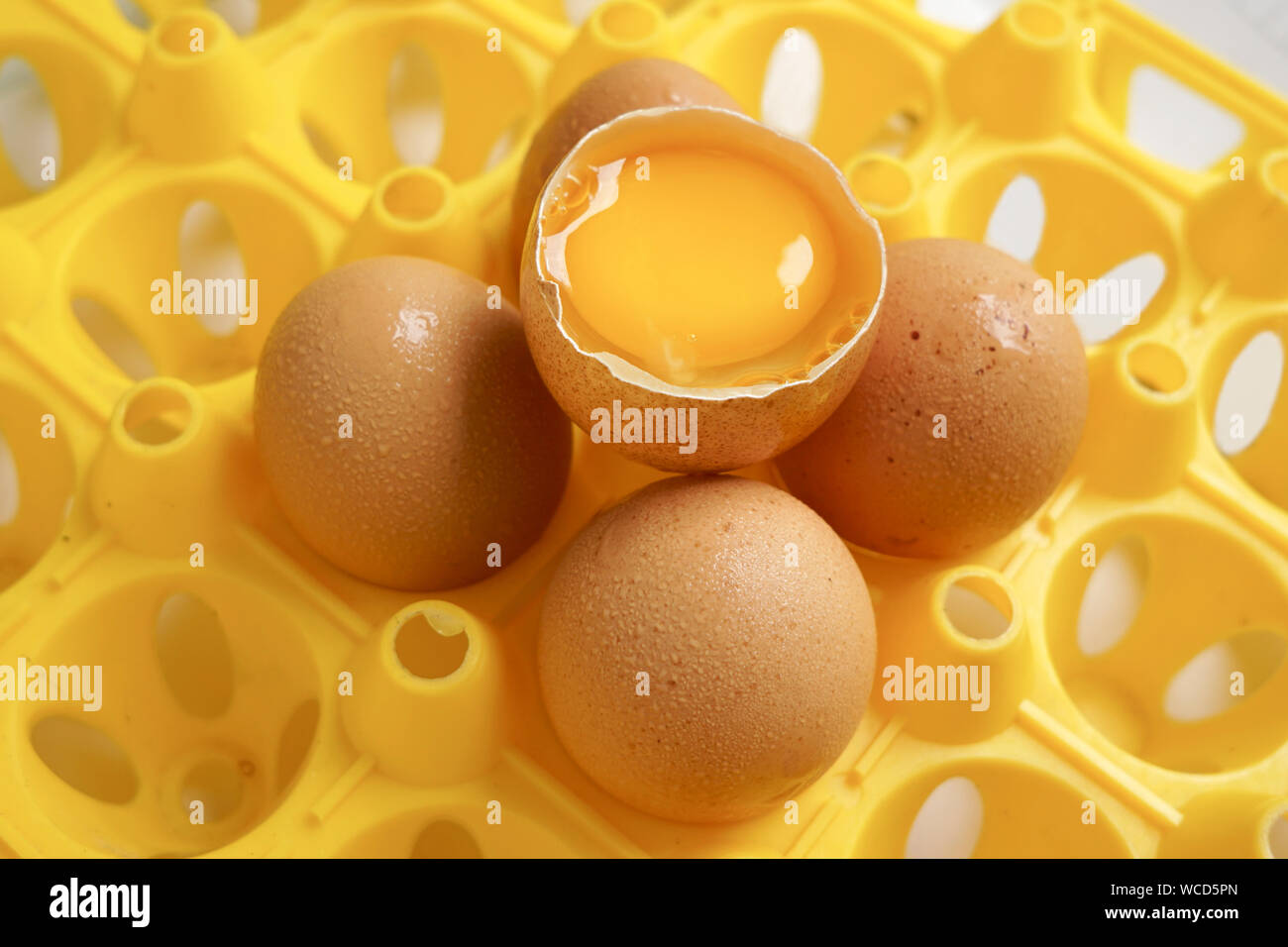 Broken eggs carton hires stock photography and images Alamy