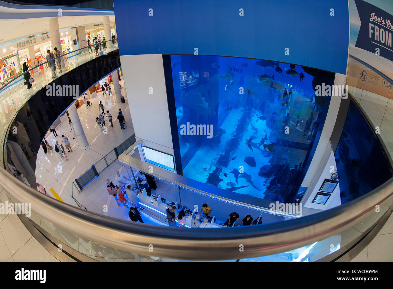The image of Dubai Aquarium in Dubai Mall, UAE Stock Photo Alamy