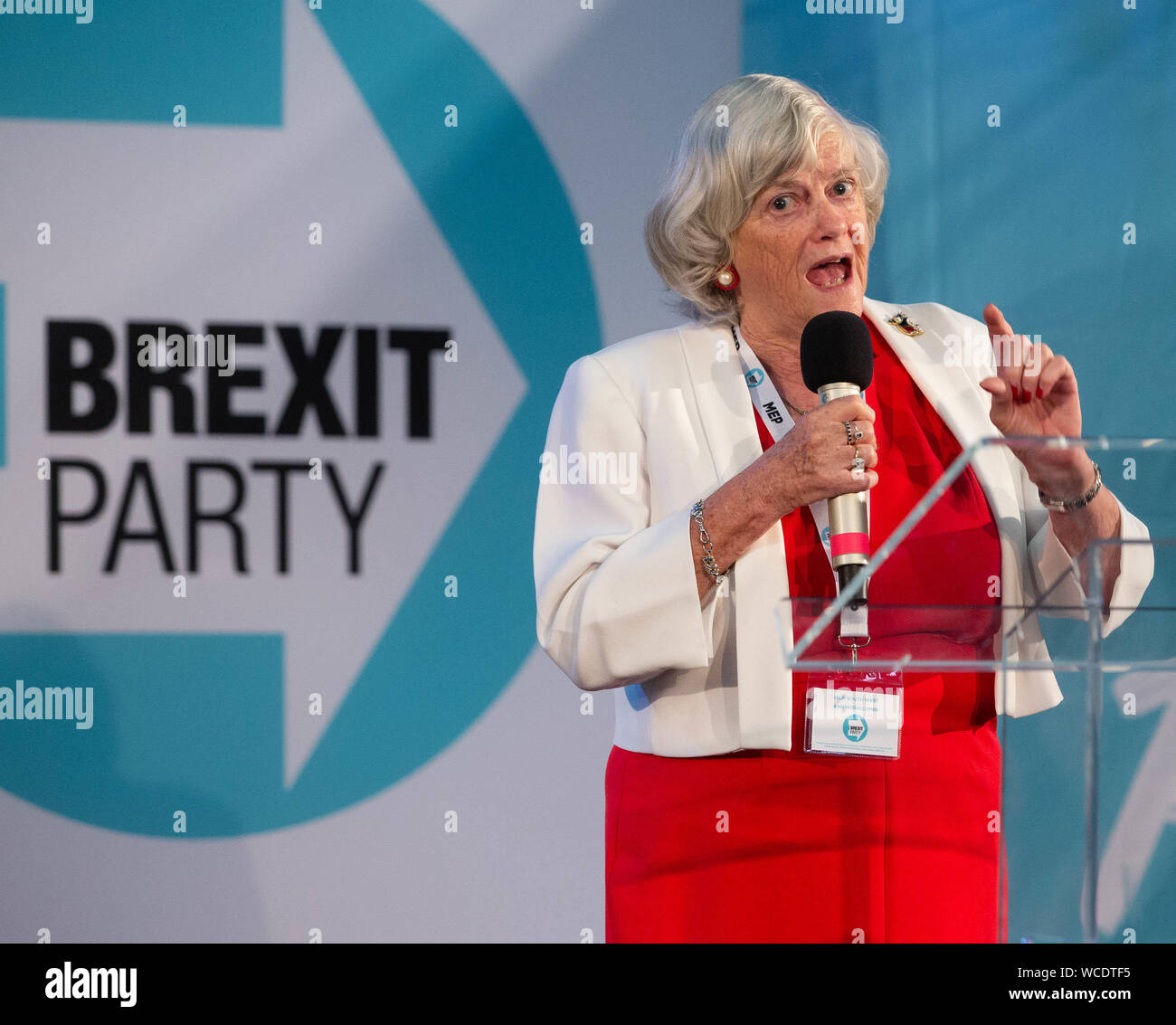 Ann Widdecombe, Member of the European Parliament, speaks at the conference. The Brexit Party holds a conference in London to announce 635 Prospective Stock Photo