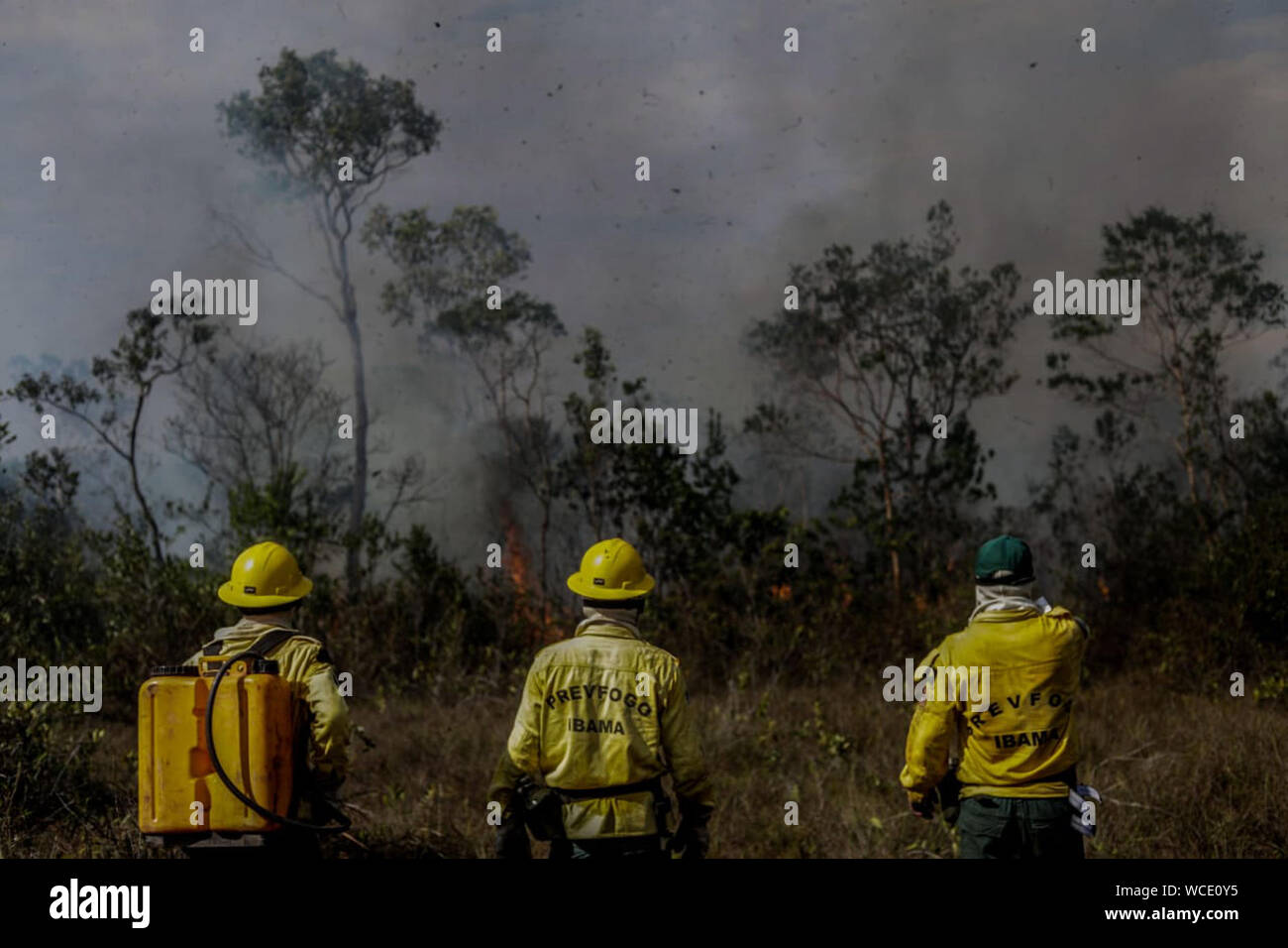 Brazilian environment institute hi-res stock photography and images - Alamy