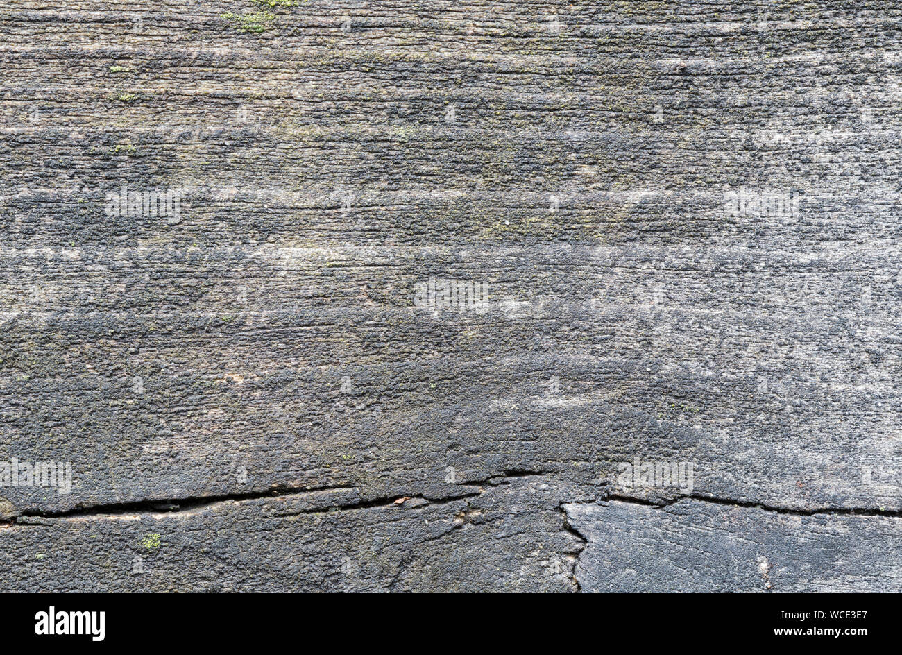 Old moldy wood texture background hi-res stock photography and images