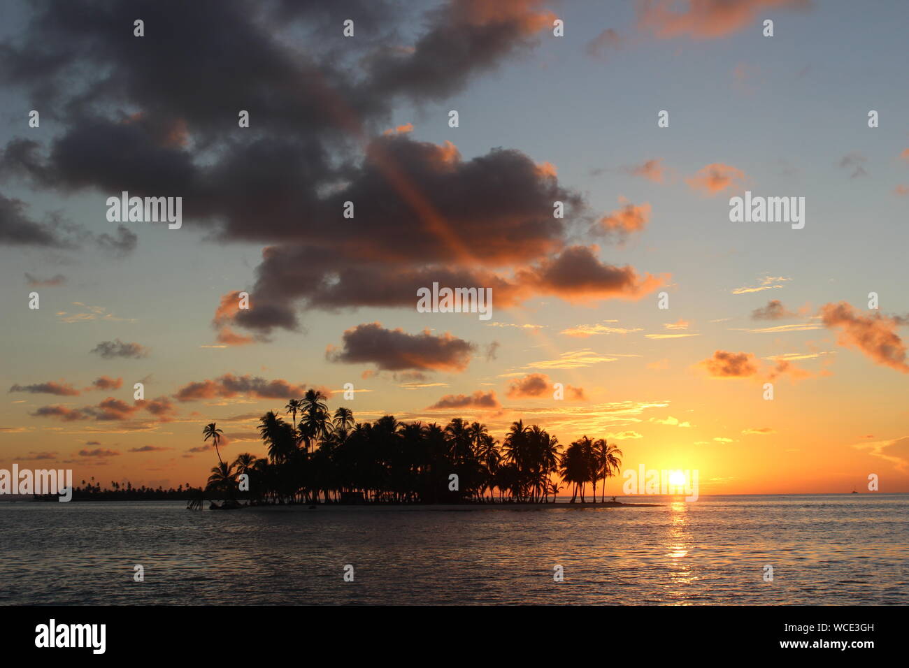 Dreamlike Island With Palm Trees At Sunset Stock Photo
