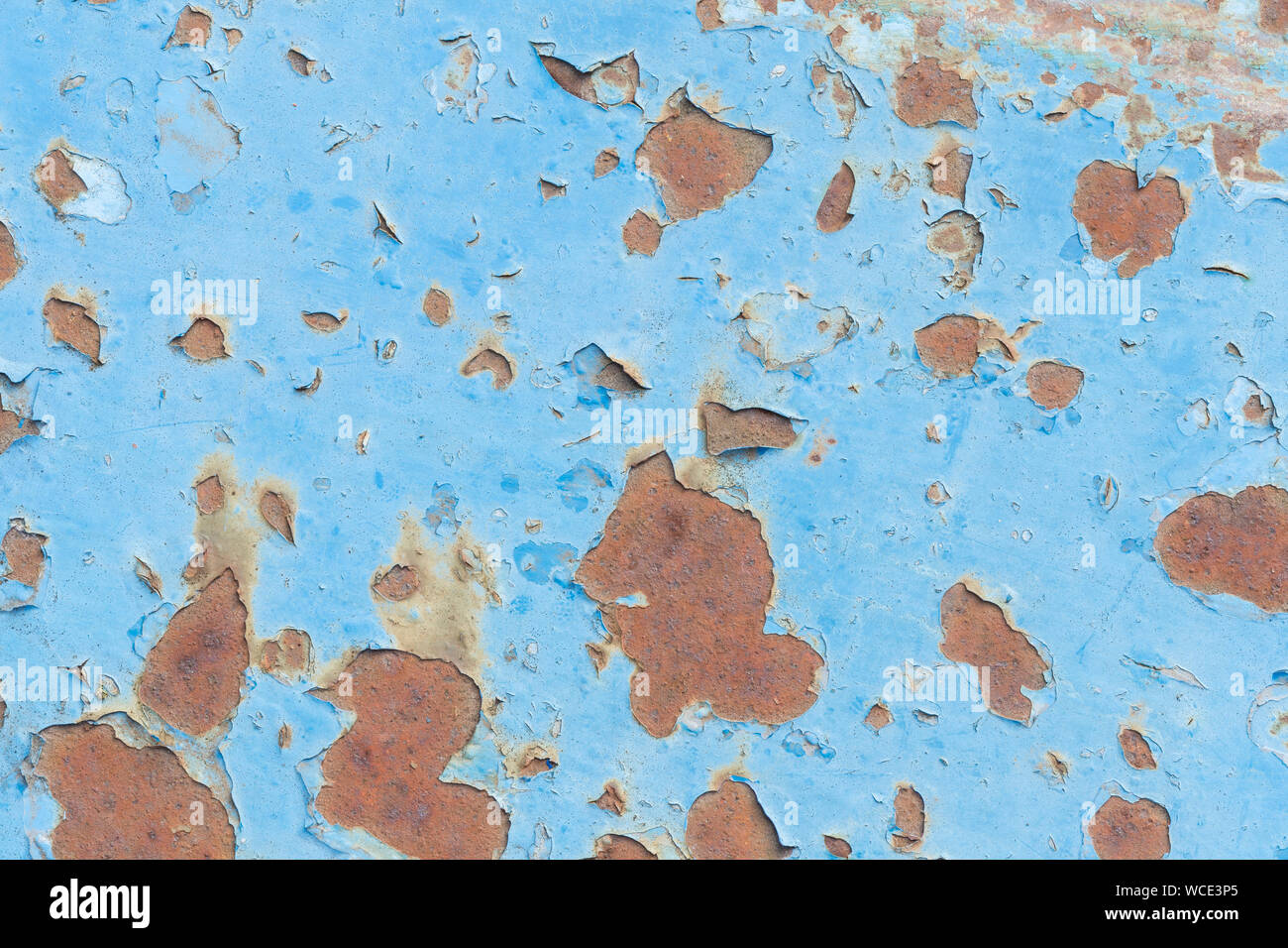 Close-up of a weathered and worn sheet metal plate painted in light blue. Paint is partly peeled off revealing rusty metal. Abstract background. Stock Photo