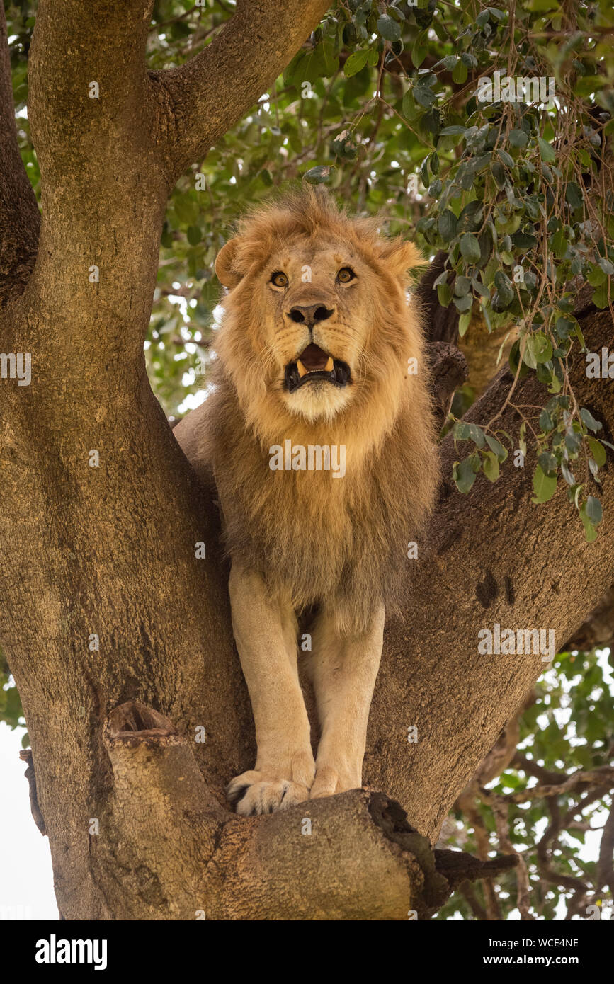 ���� ���� ������ �� ���� ������