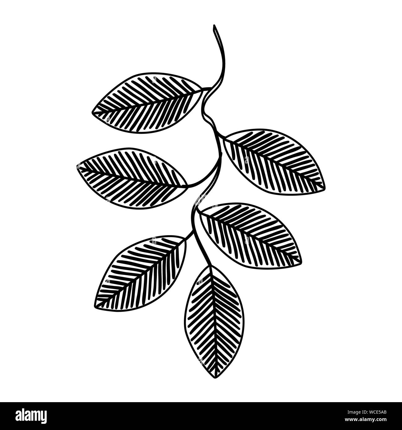 autumn branch with dry leafs nature icon Stock Vector Image & Art - Alamy