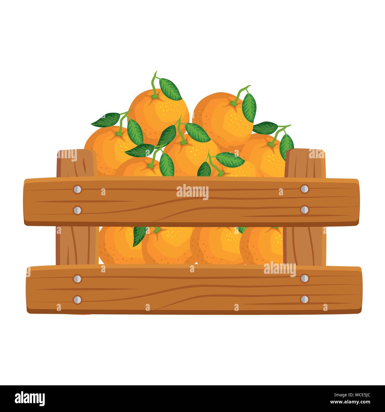 fresh oranges fruits in wooden box Stock Vector