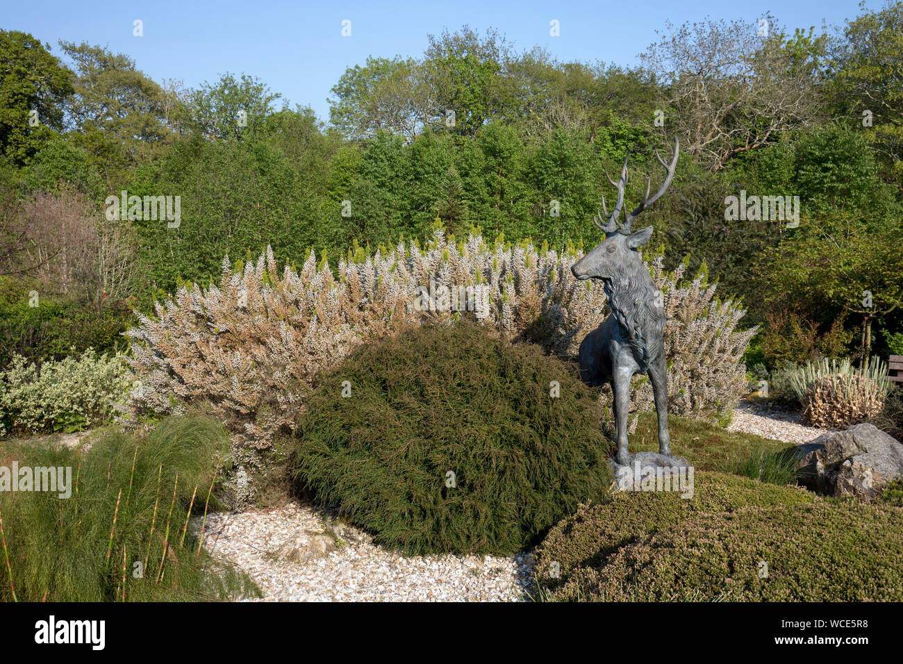 Garden; Stag Statue; Cornwall; UK Stock Photo Alamy