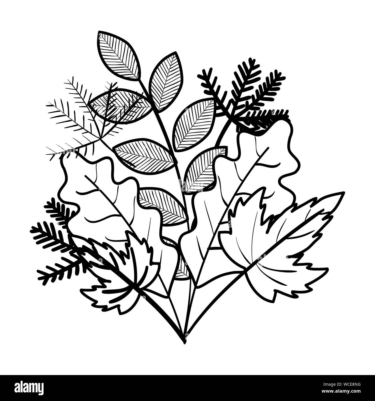 autumn branch and dry maple leafs decoration Stock Vector Image & Art ...