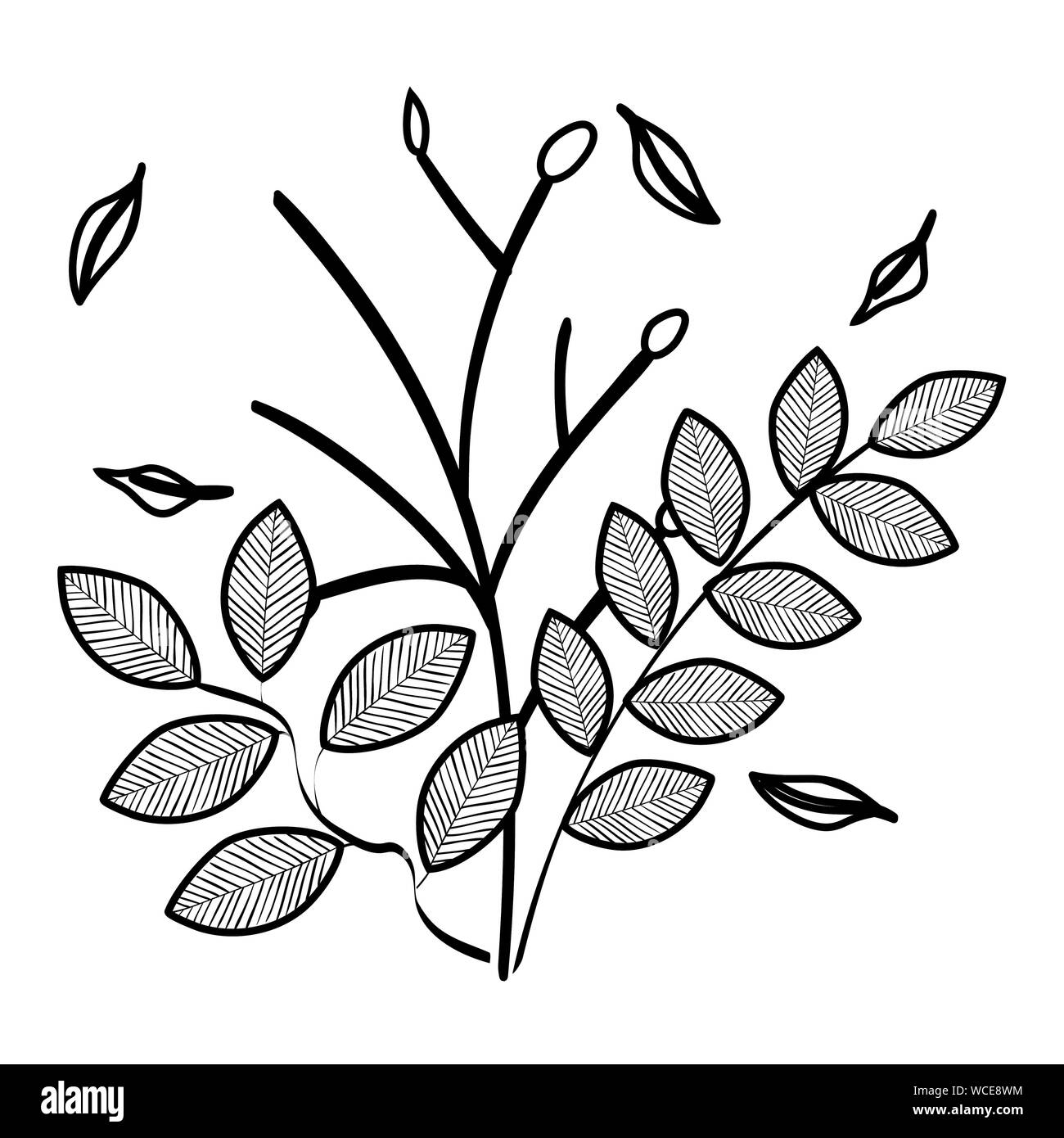 autumn branch with dry leafs nature icon Stock Vector Image & Art - Alamy