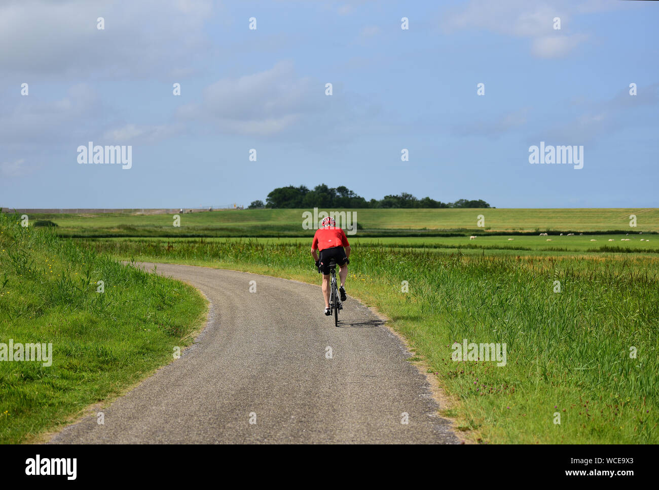 Male cyclist on a scenic route on Texel Island. Netherlands Stock Photo