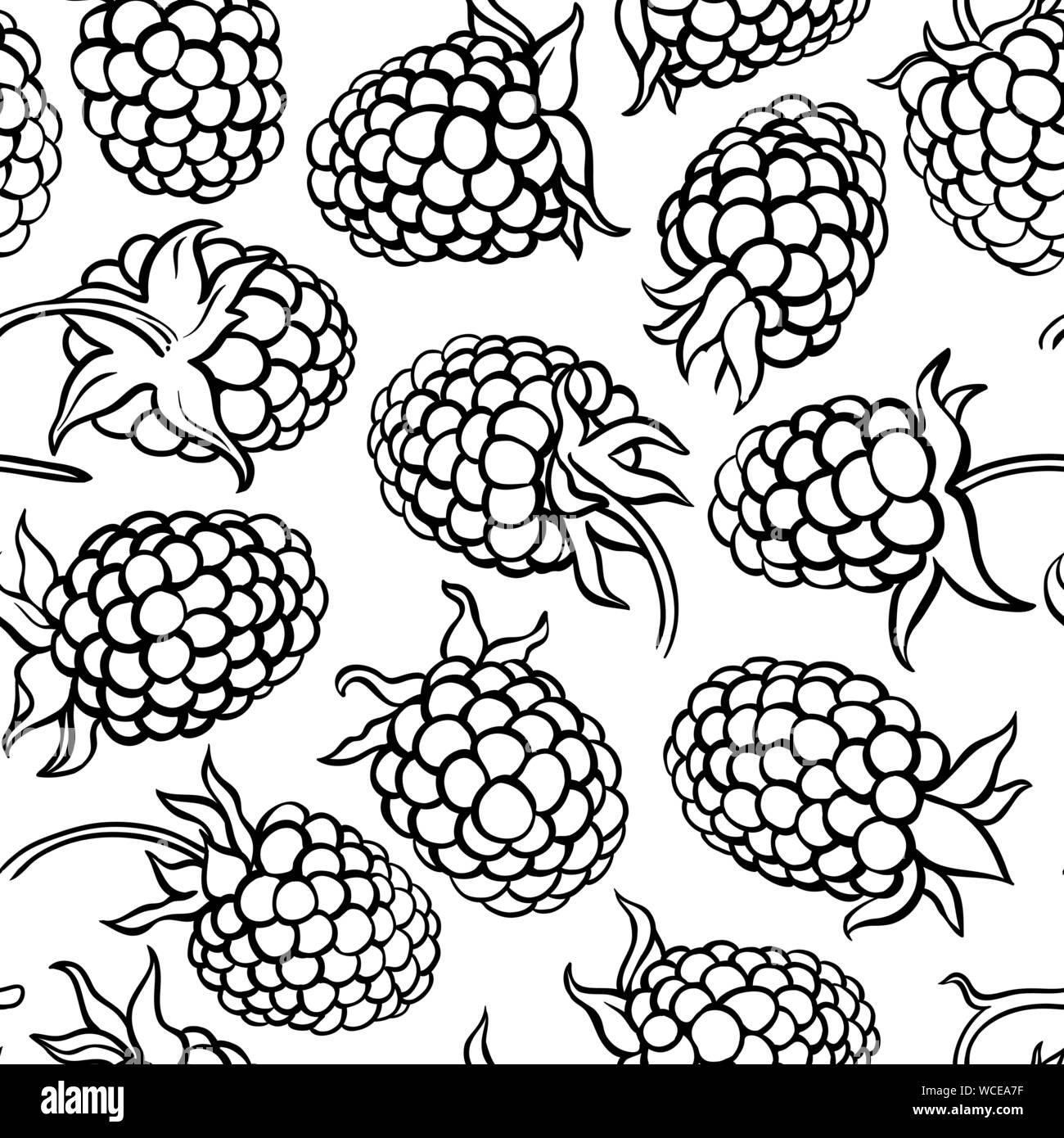 boysenberry vector pattern on white background Stock Vector