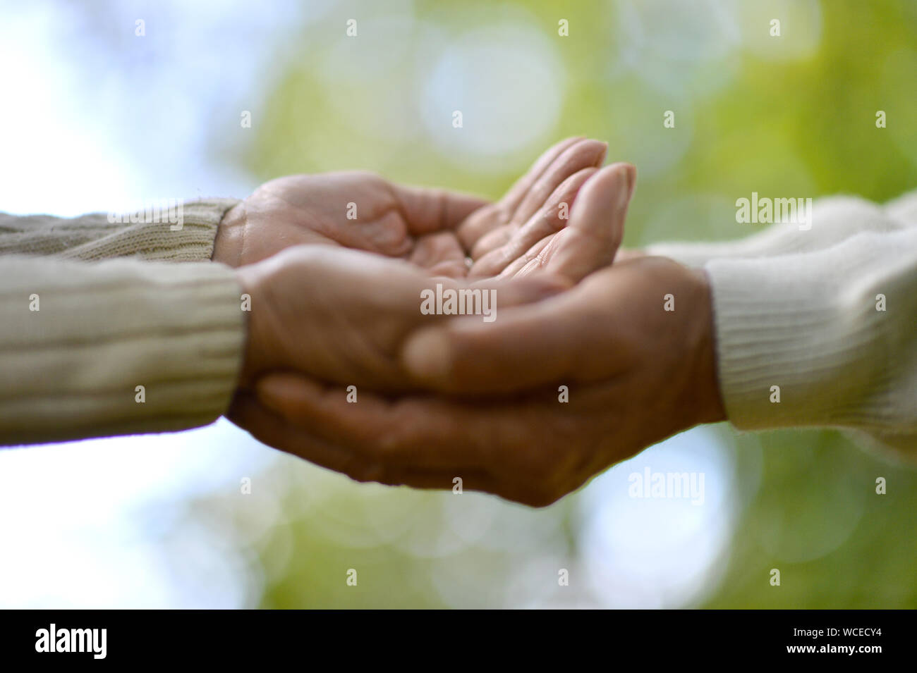 Elderly couple holding hands in autumn park Stock Photo - Alamy