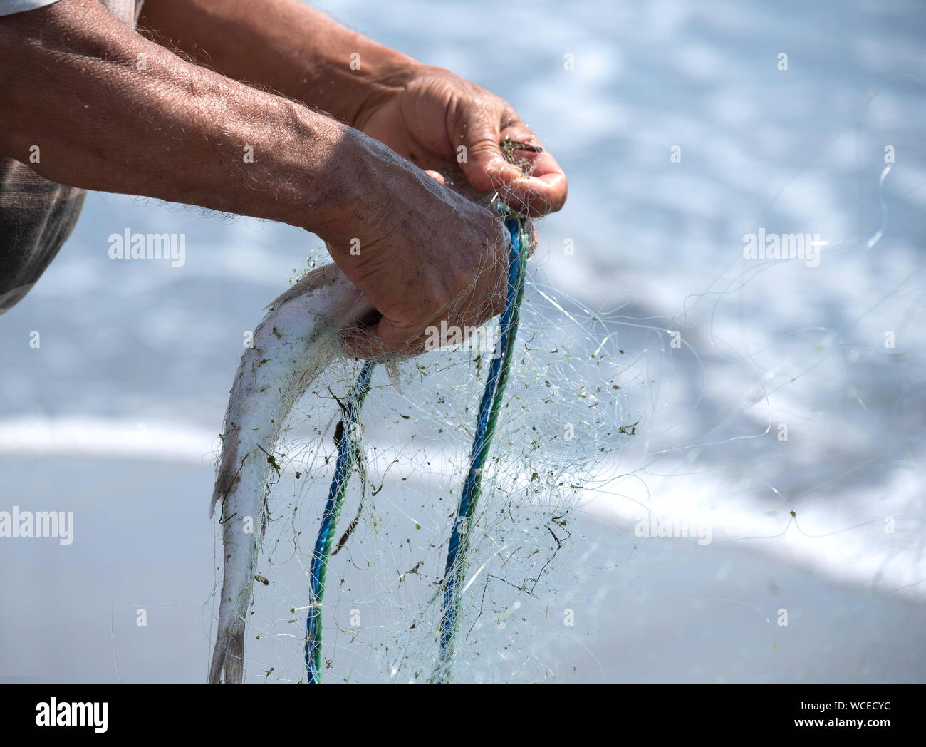 Close up of a turkish fisherman removing a fish from a net. Turkey Stock Photo