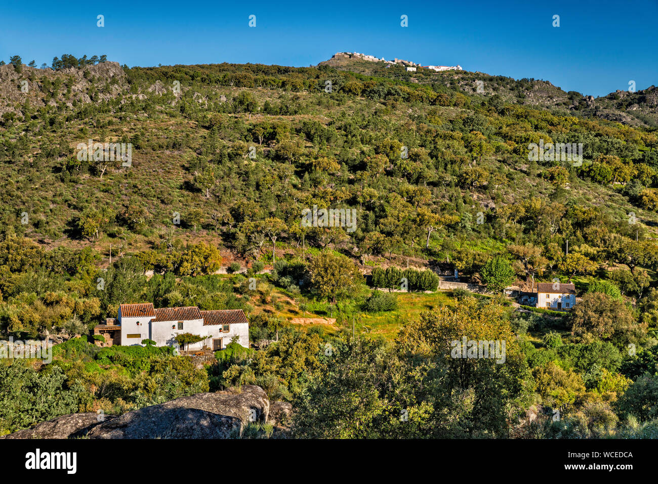 Distant view of town of Castelo de Vide, over valley in Serra de Sao Mamede Natural Park, Portalegre district, Alto Alentejo, Portugal Stock Photo