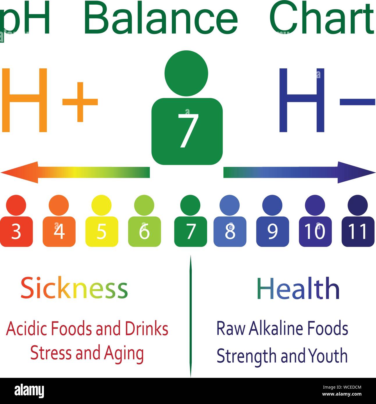 Body Ph Level Chart