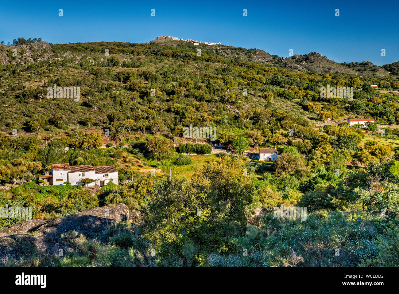 Distant view of town of Castelo de Vide, over valley in Serra de Sao Mamede Natural Park, Portalegre district, Alto Alentejo, Portugal Stock Photo