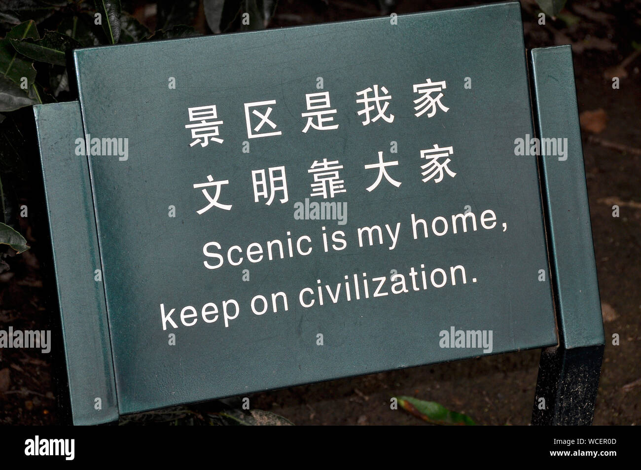 Funny chinese translation hi-res stock photography and images - Alamy Funny chinese translation hi-res stock photography and images - Alamy