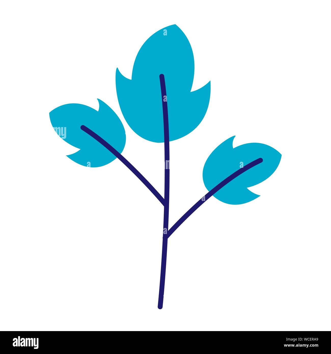 Isolated leaves vector design Stock Vector Image & Art - Alamy
