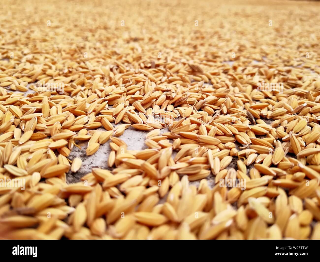 Close up grains hi-res stock photography and images - Alamy
