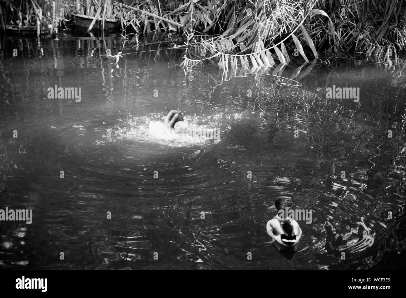 Drowning Black and White Stock Photos & Images Alamy