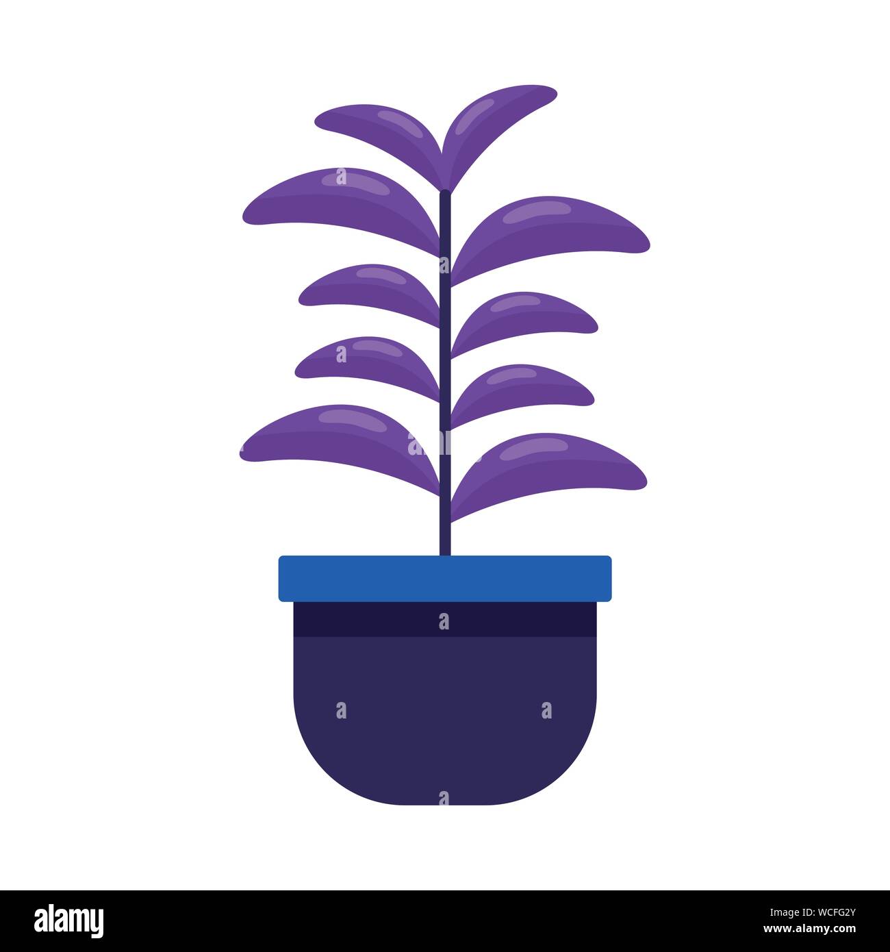 Isolated plant with leaves design Stock Vector Image & Art - Alamy