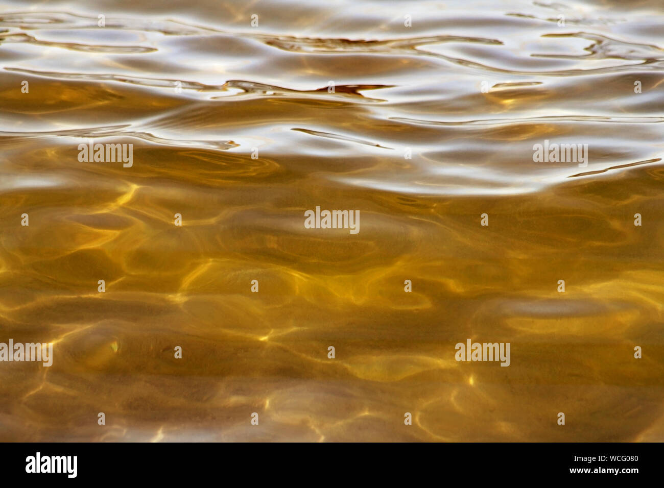 Beautiful waters of gold with soft ripples on surface and natural light Stock Photo