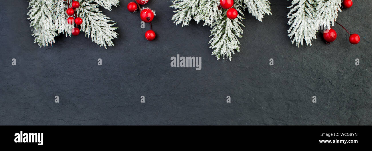 Christmas background border made of fir tree branches and red berries ...