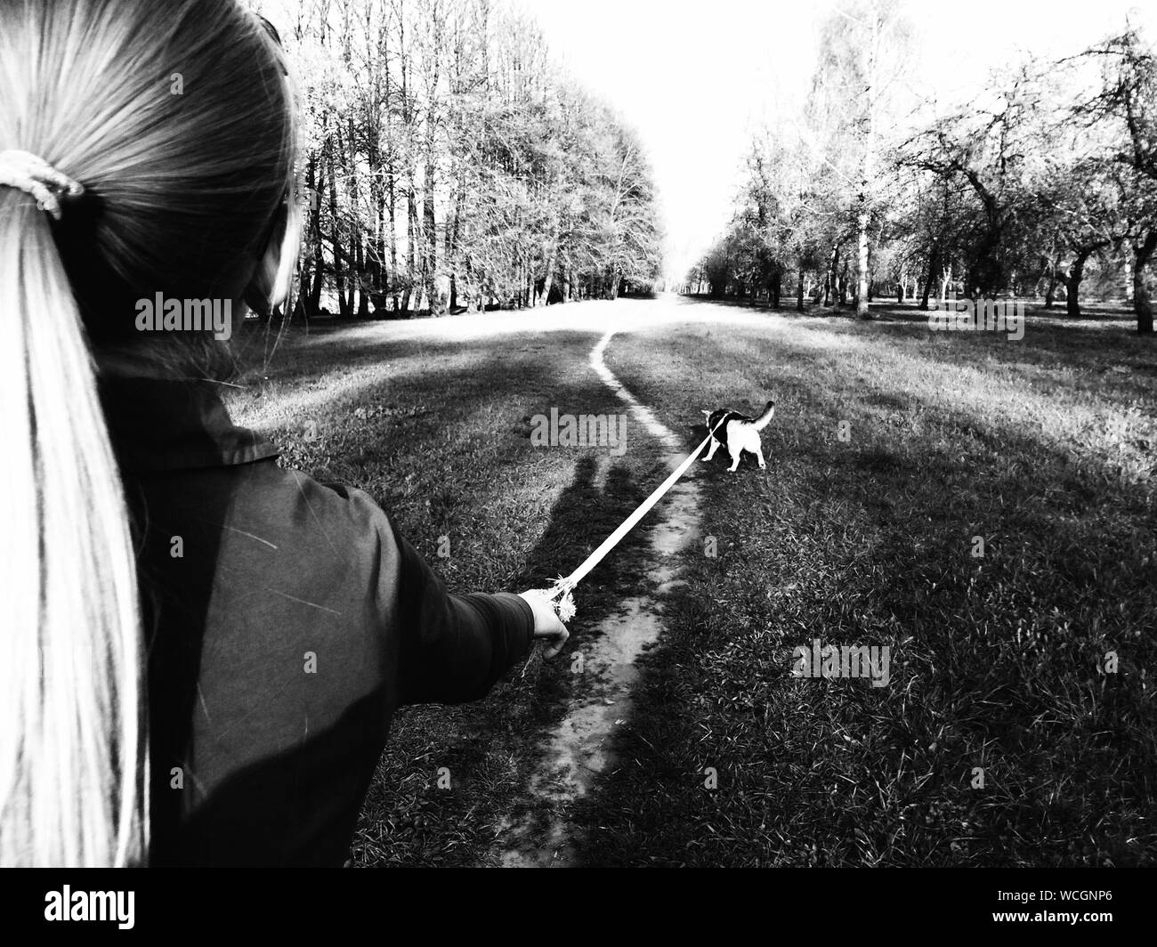 Leash Black and White Stock Photos & Images Alamy
