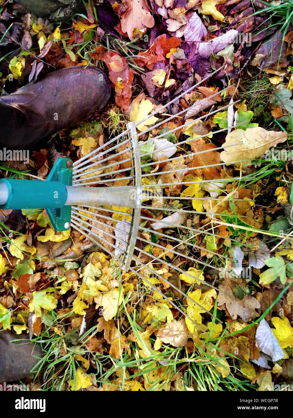 Racking autumn leaves hires stock photography and images Alamy