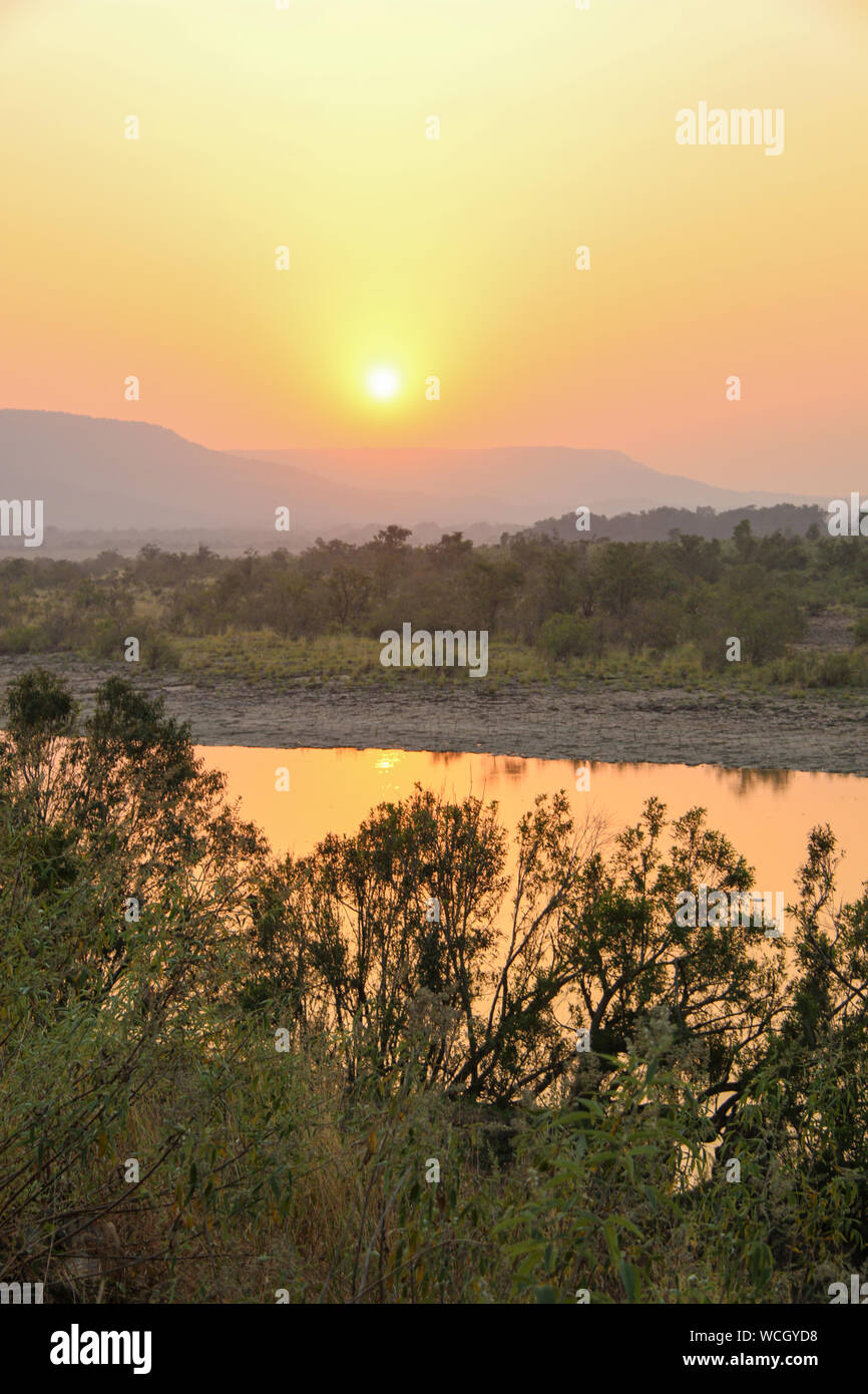 Tiger Habitat Central Asia High Resolution Stock Photography and Images ...