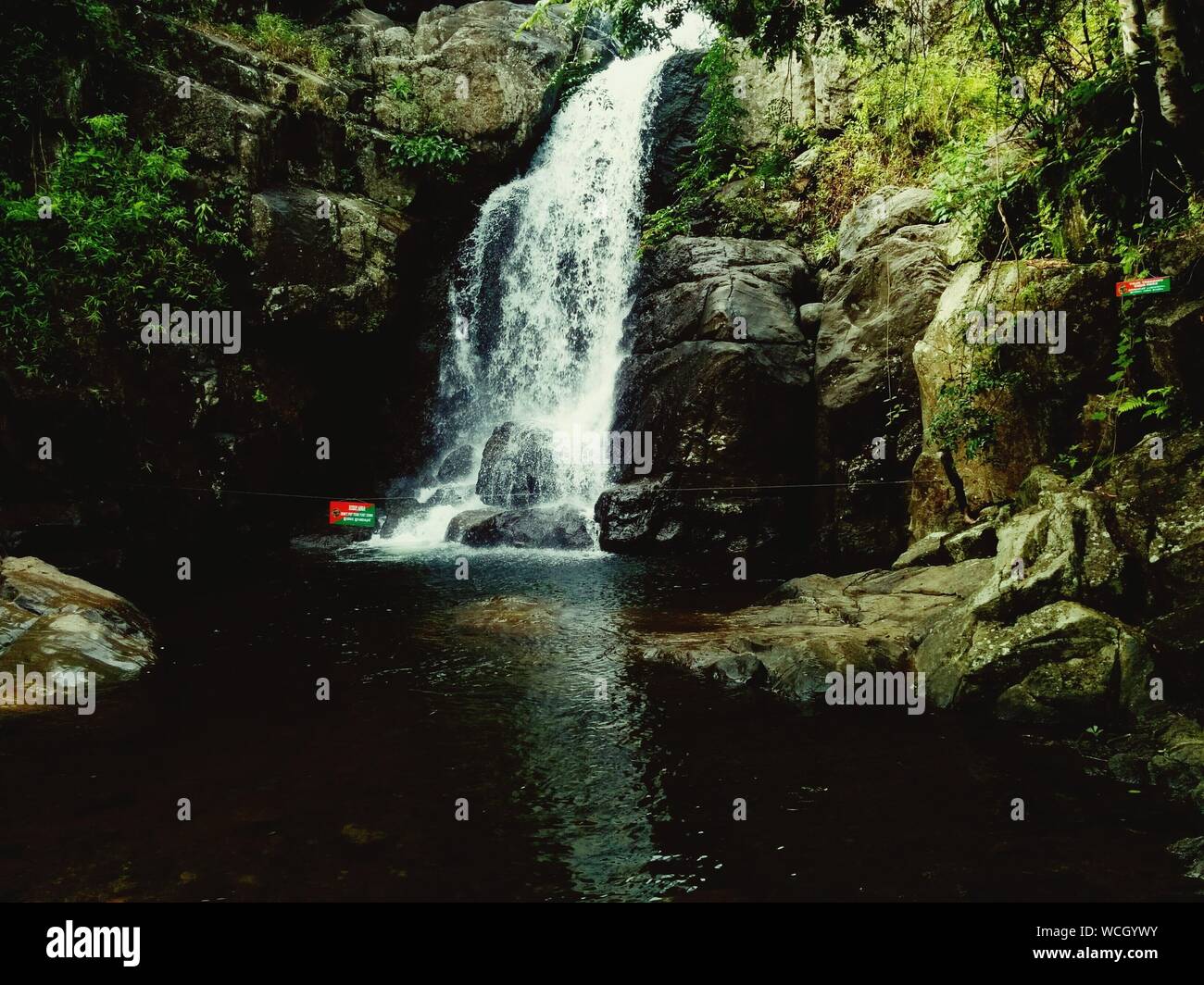 Plant among rocks hi-res stock photography and images - Alamy