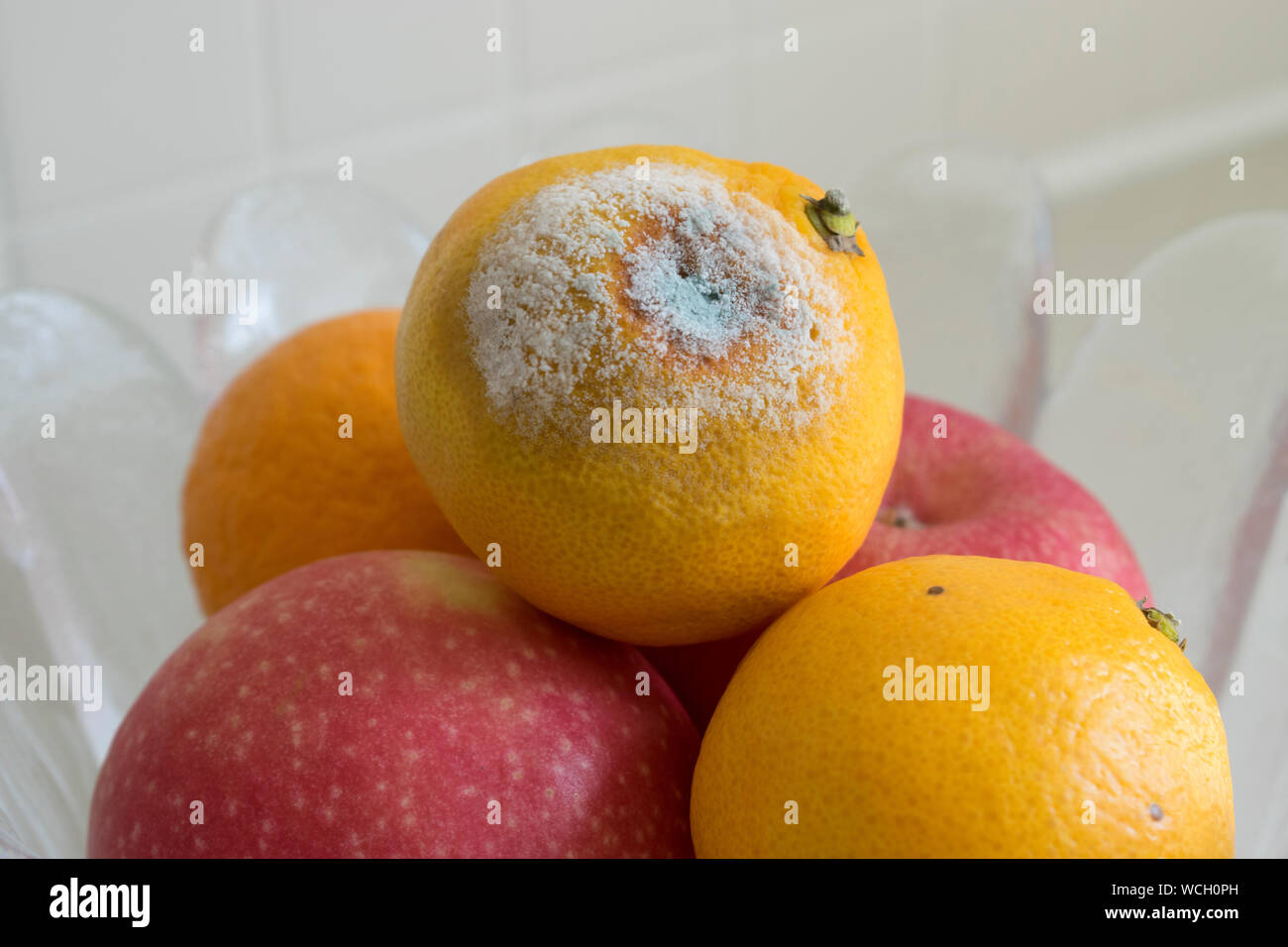Mouldy Fruit In A Bowl Stock Photo Alamy