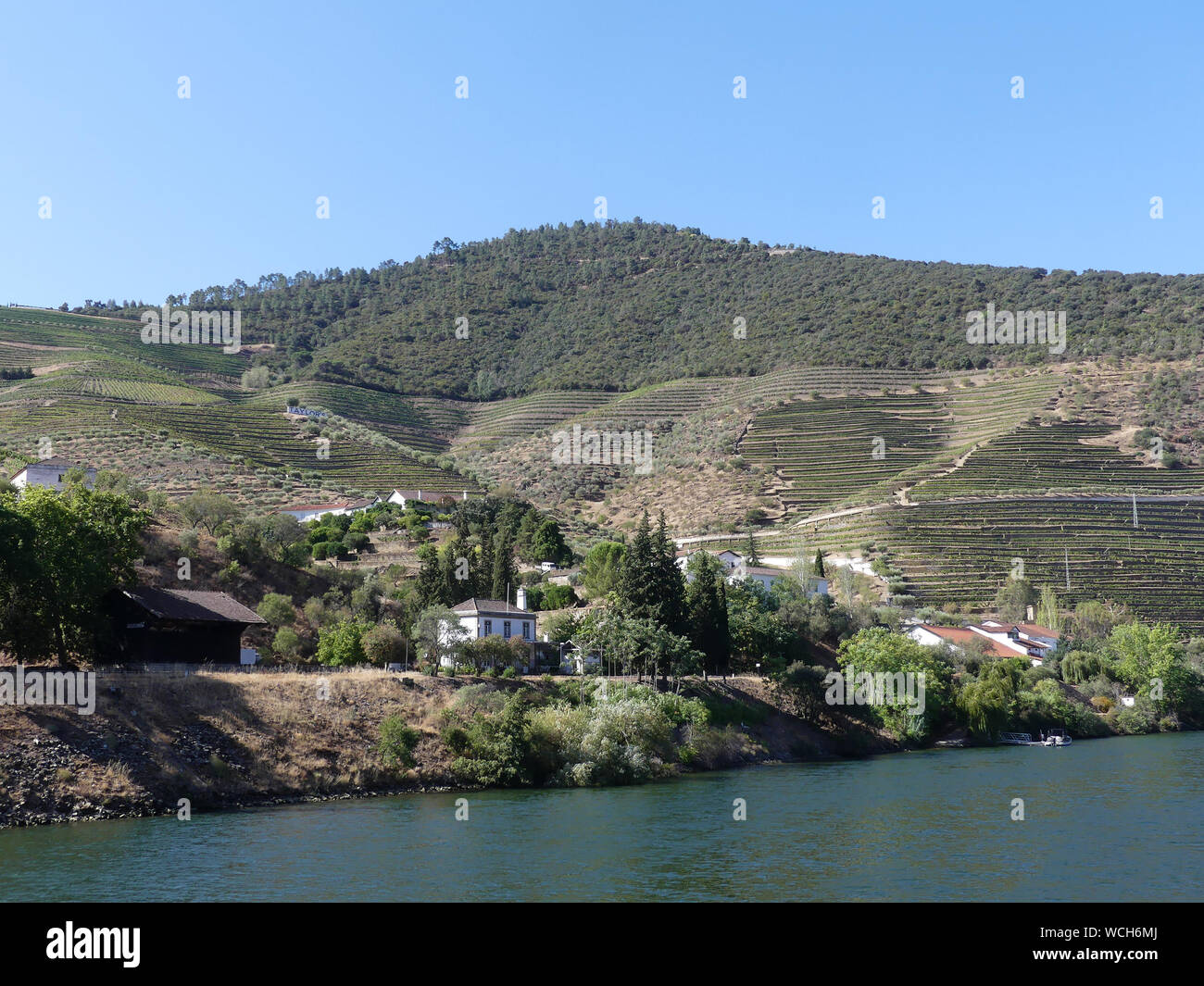VINYARDS in the Douro River valley in Portugal. Photo: Tony Gale Stock Photo
