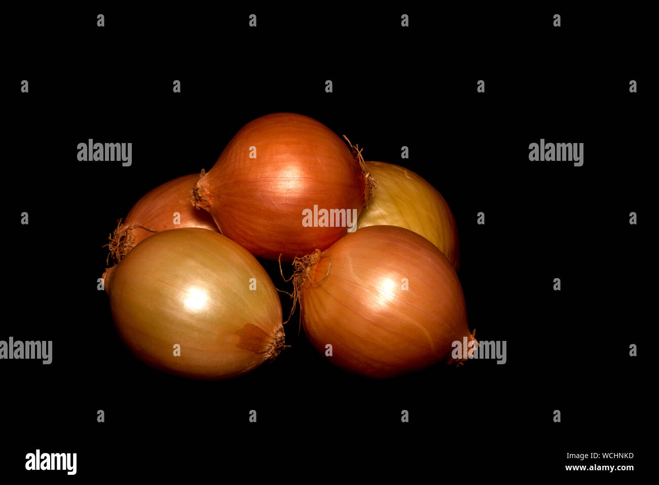 Golden onions classically lit against a black background Stock Photo