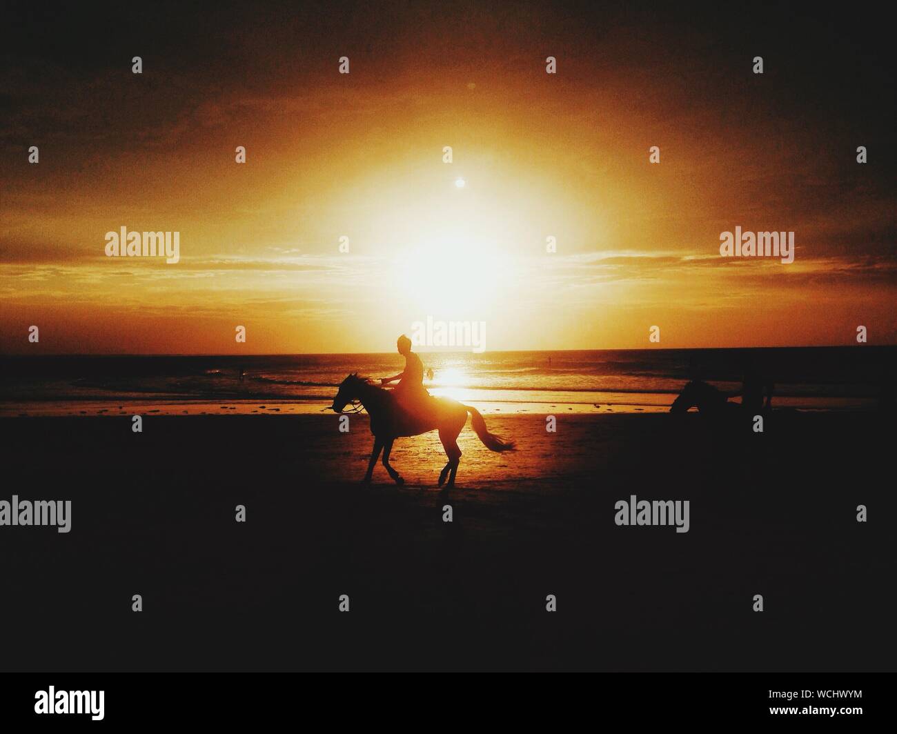 Horse riding on beach at sunset hi-res stock photography and images - Alamy